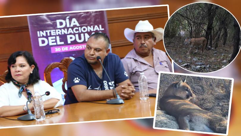 Dan a conocer avances sobre el parque ecoturístico Paso del Puma.