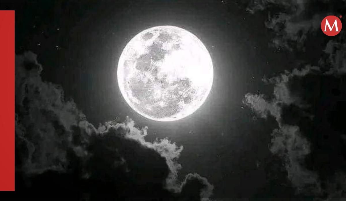 Luna / Twitter