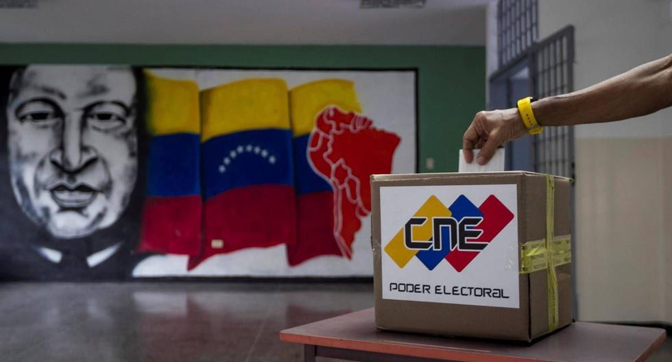 Más de 70 ONG piden al Estado venezolano garantizar la integridad de procesos electorales | EFE