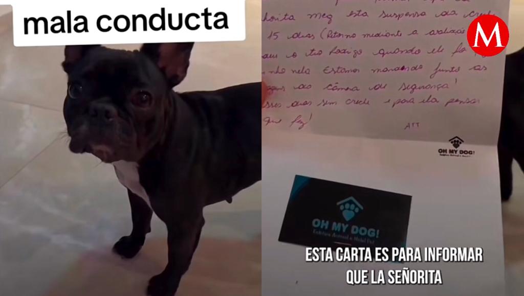 La pequeña Meg nunca se mostró arrepentida de su fechoría a pesar de que sus dueños la regañaron.