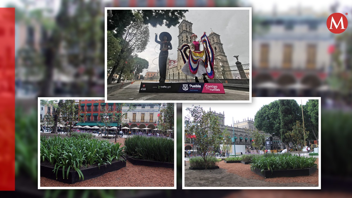 Realizan mejoramiento en jardineras Zócalo Puebla por fiestas patrias | Melanie Torres