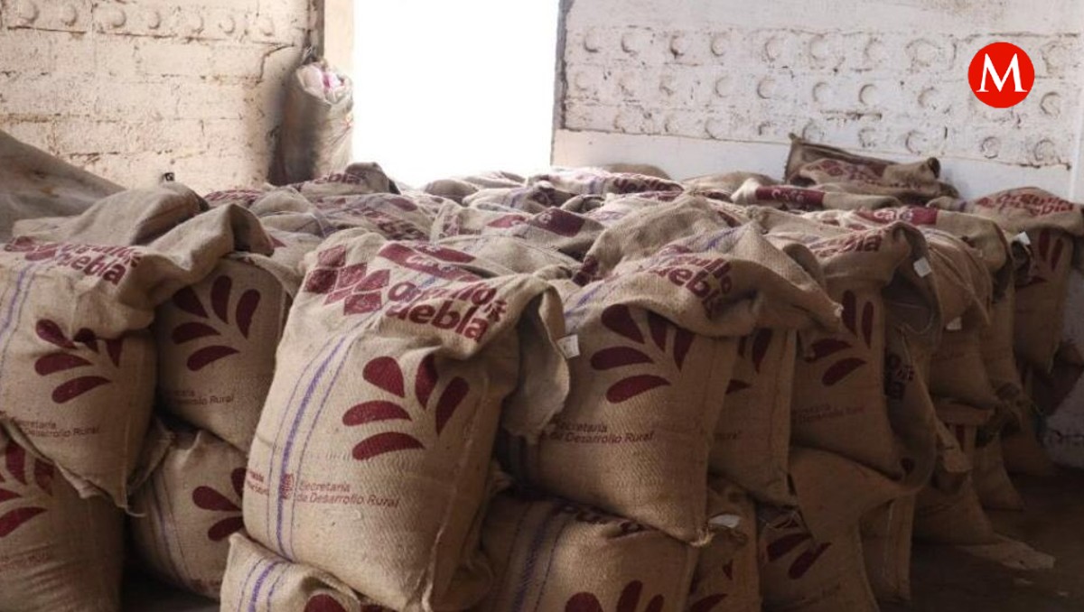 Café poblano llega a Corea del Sur | Especial
