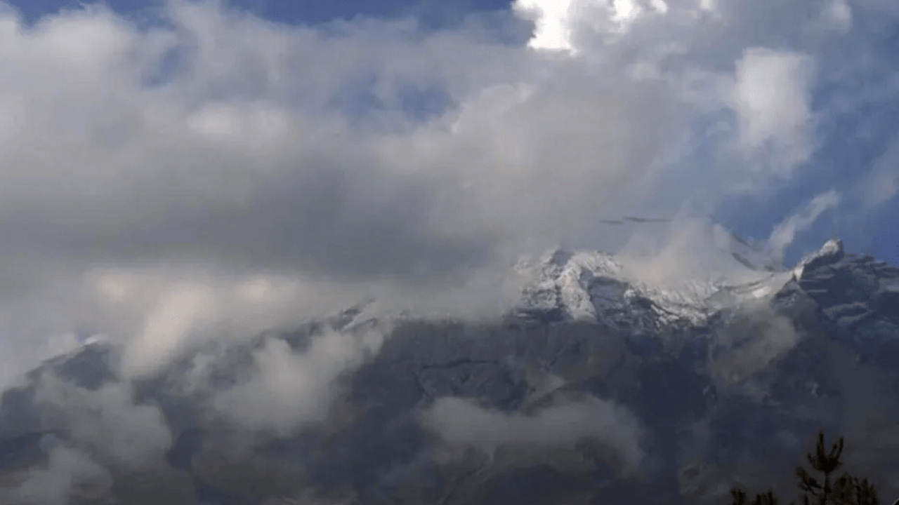 Reportan caída de ceniza en siete municipios de Edomex; "Como si estuviera nevando"