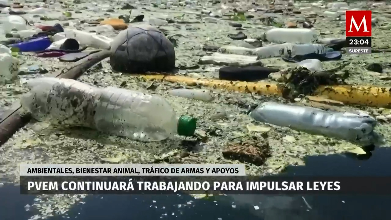 El PVEM liderará la agenda del Senado en asuntos cruciales como el tráfico de armas y el medio ambiente