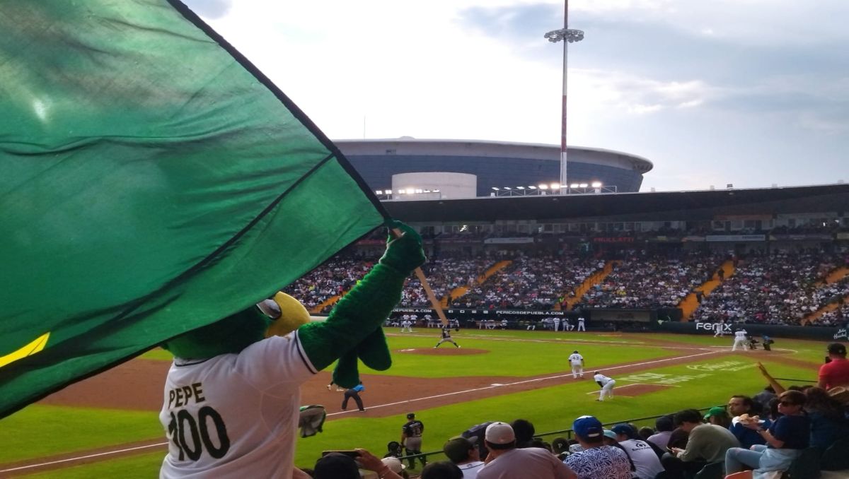 Pericos de Puebla | Especial
