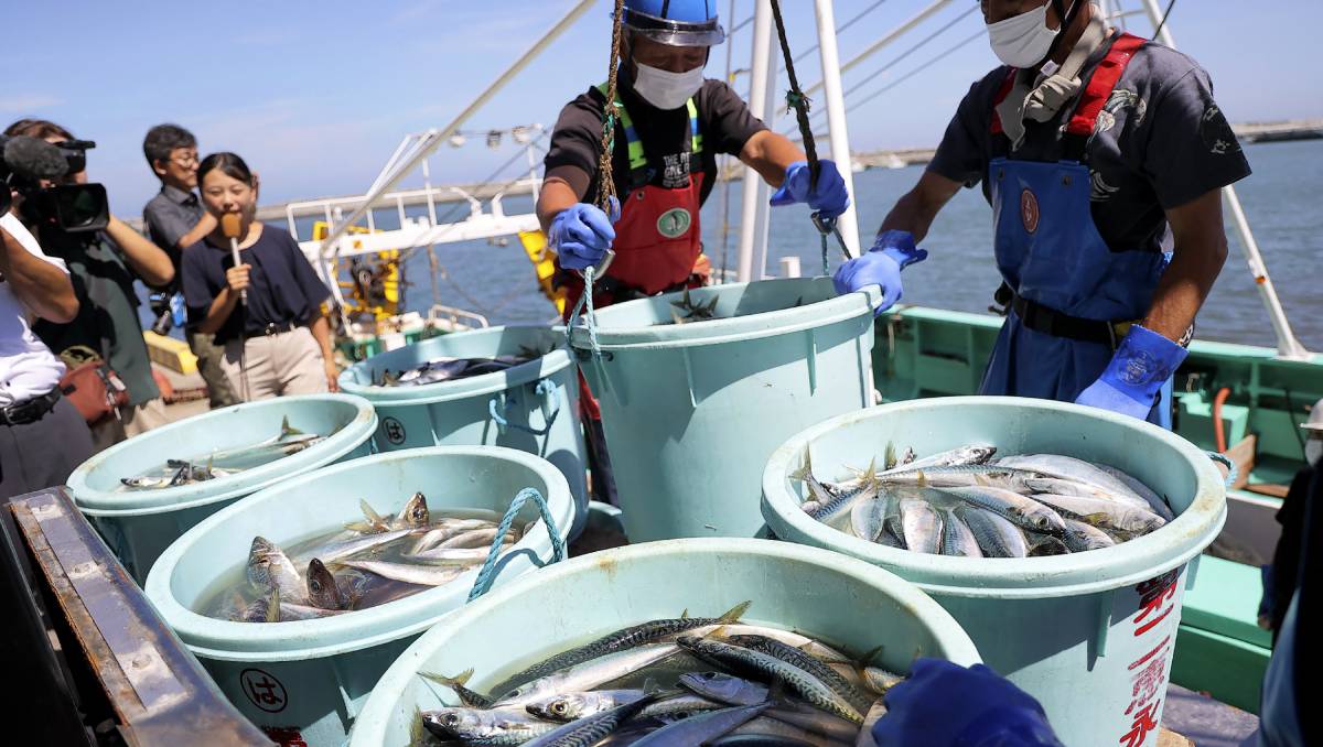 Pescadores de Fukushima | AFP