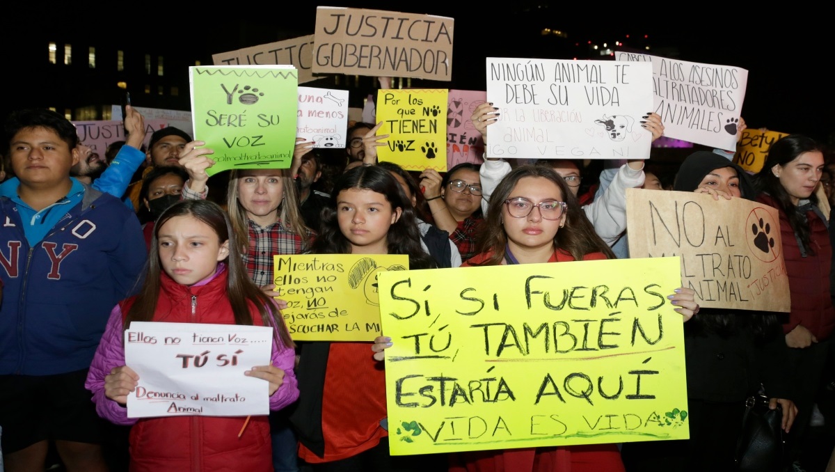 Activistas se manifiestan en contra el maltrato animal en Puebla | Agencia Enfoque