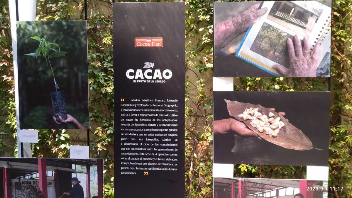 Presentan la serie "Cocoa, fruto de un legado" / Adriana Jiménez