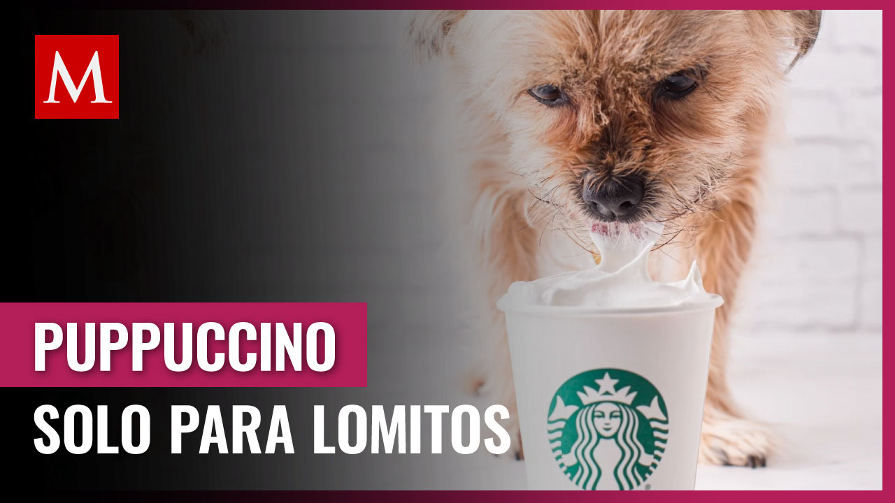 ¿Quieres ver a tu perro feliz? Pide gratis esta bebida secreta en Starbucks