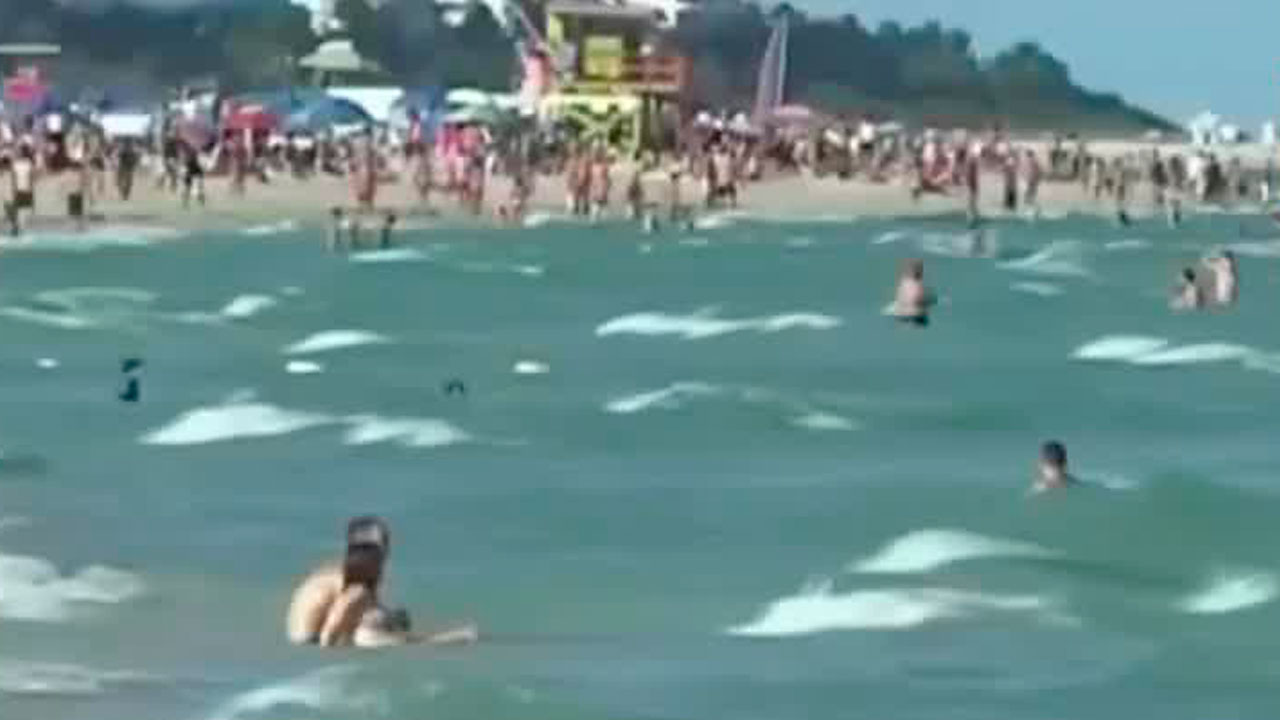 Alerta en Estados Unidos por ameba carnívora en aguas del Golfo de México y el Caribe