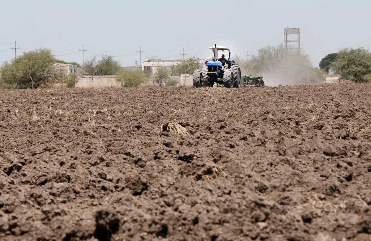 Durango es una de las tres entidades con mayores problemas de sequía. (Roberto Amaya)