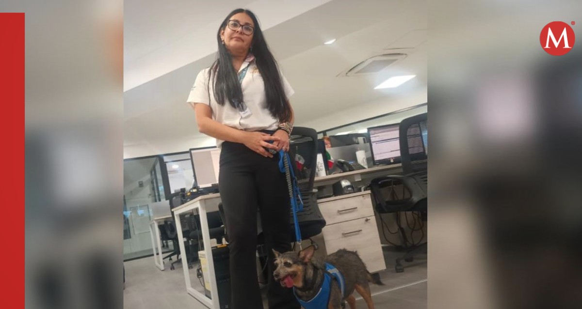 El programa busca ayudar a los empleados a lidiar con el estrés. Foto: Especial
