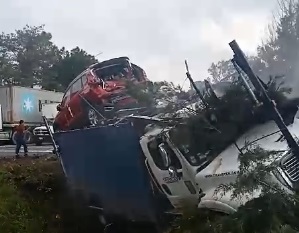 Imágenes del camión que se impactó cerca de la caseta | Michoacán | César Cabrera