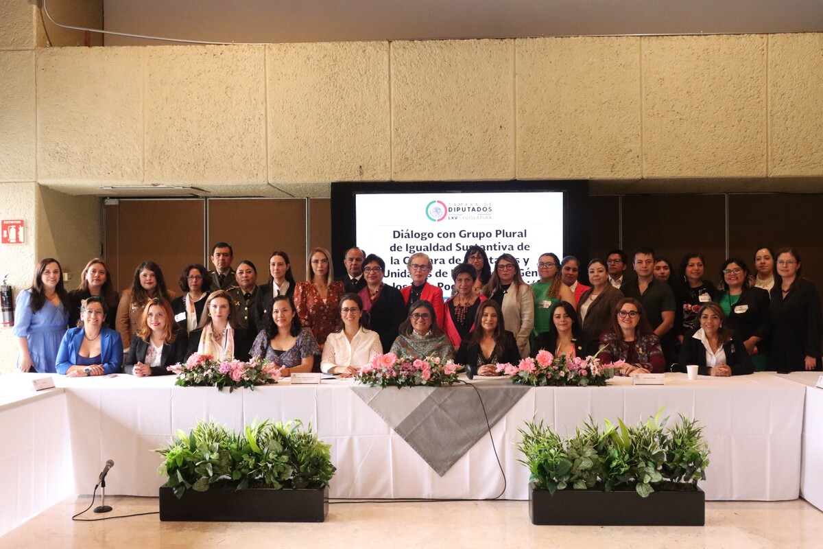Inmujeres dialoga con diputadas para reforzar las Unidades de Igualdad de Género de la APF. (Cortesía)