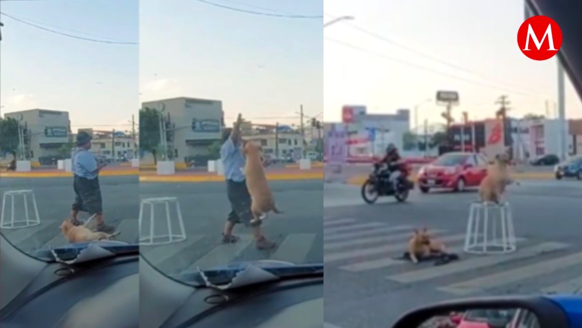 El lomito enamoró a las redes sociales con su acto callejero.