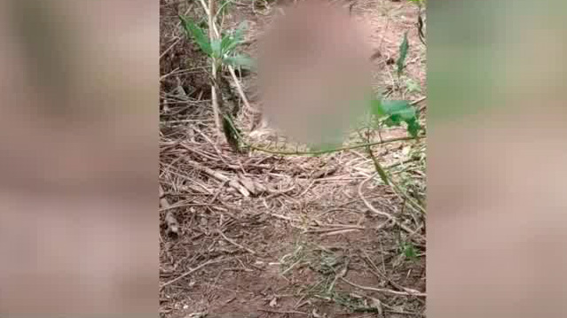 Localizan restos humanos detrás de un panteón en Guasave, Sinaloa