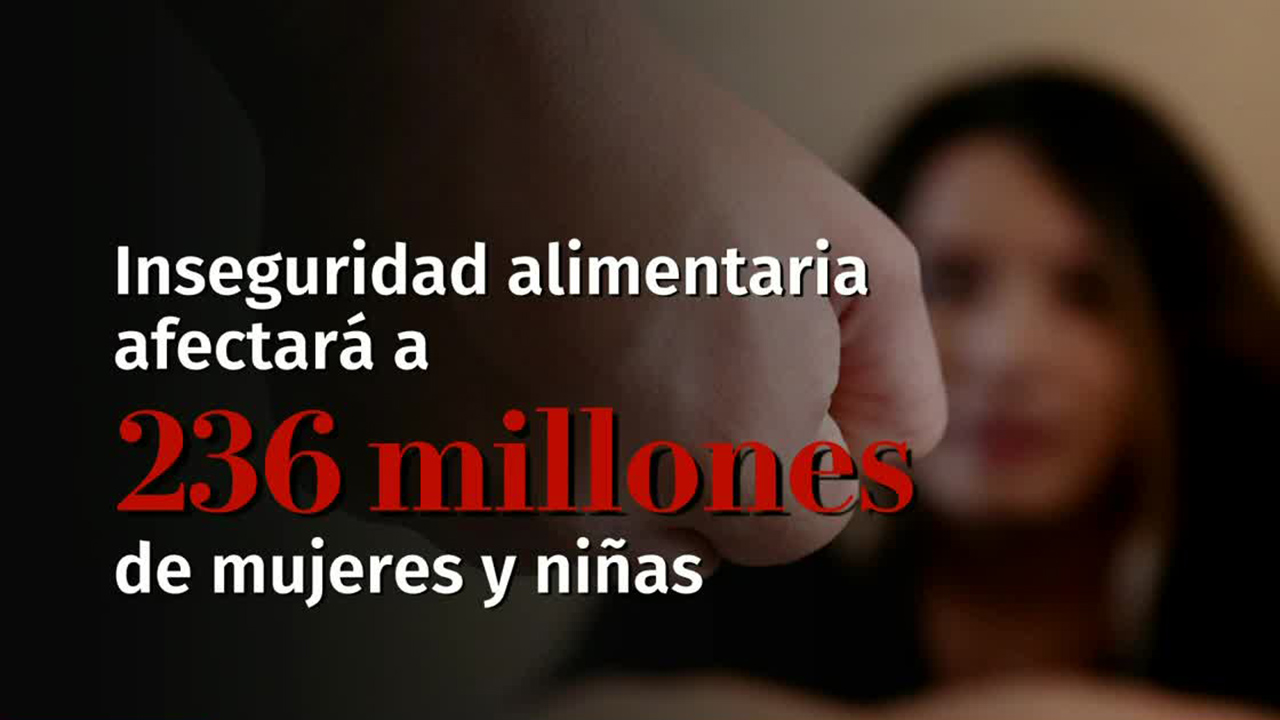 ONU Mujeres, preocupada por poco avance en igualdad de género en el mundo