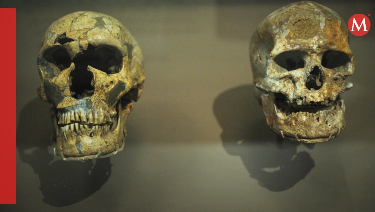 Hueso de homo sapiens fue encontrado | AFP