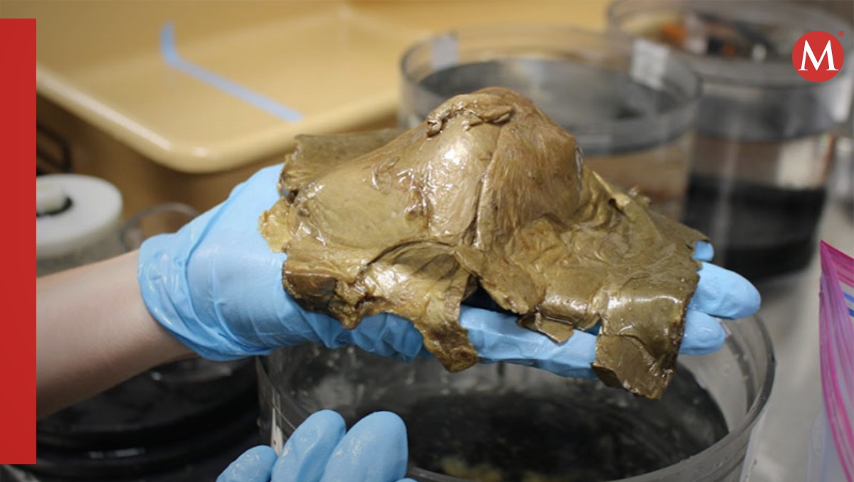 Una cúpula dorada fue encontrada a miles de metros bajo el mar en Alaska | ESPECIAL