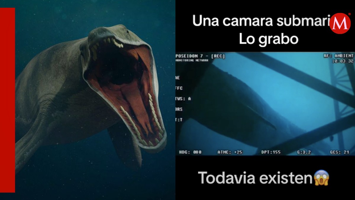 El reptil prehistórico presuntamente sigue vivo. | ESPECIAL