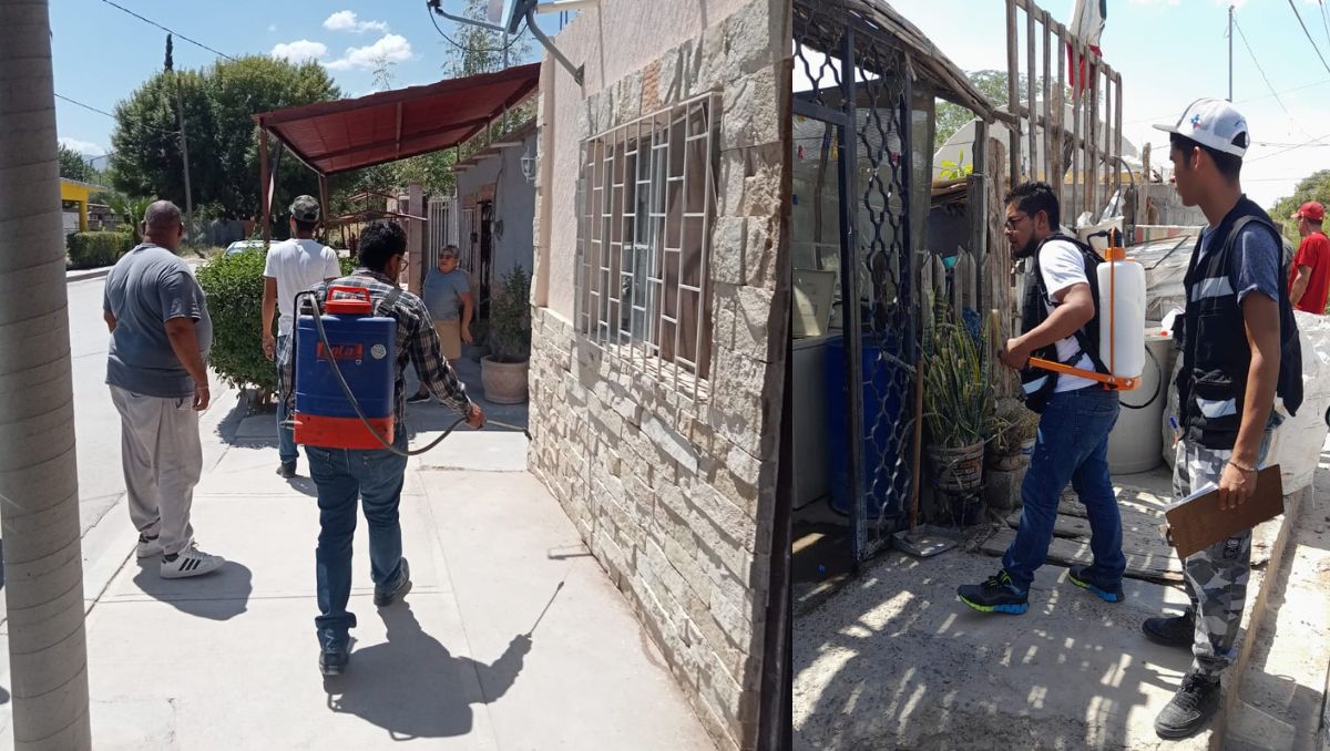 Fumigaciones en casas, plazas y ejidos de Lerdo. (Especial)