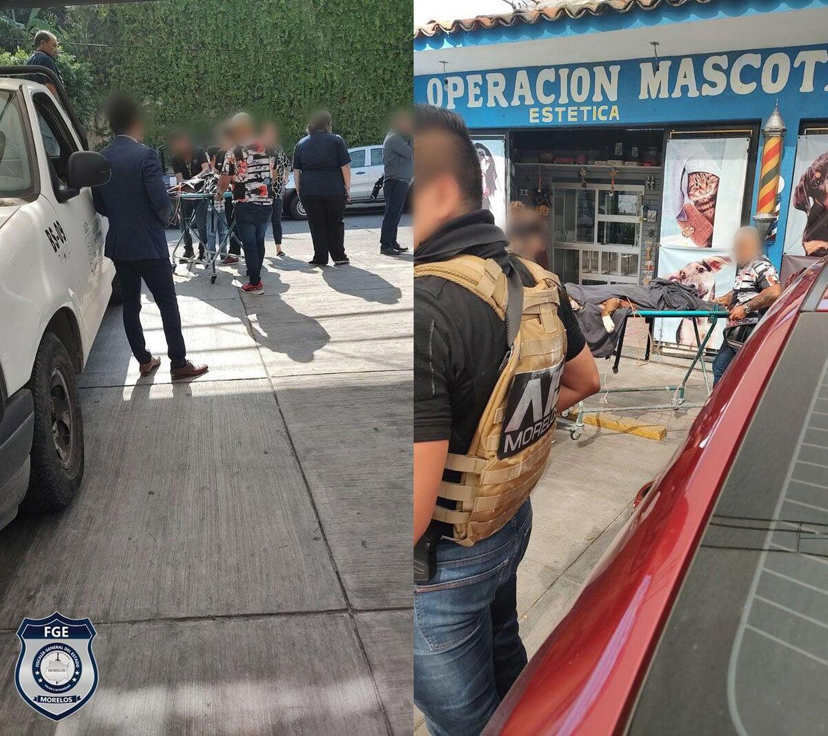 El menor sufrió heridas graves en el rostro y cabeza, por lo que fue trasladado al hospital de Cuernavaca por sus padres