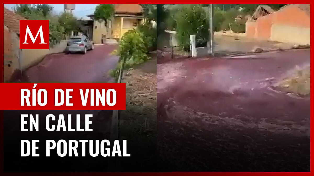 Millones de litros de vino tinto fueron liberados debido a la explosión de depósitos en Portugal