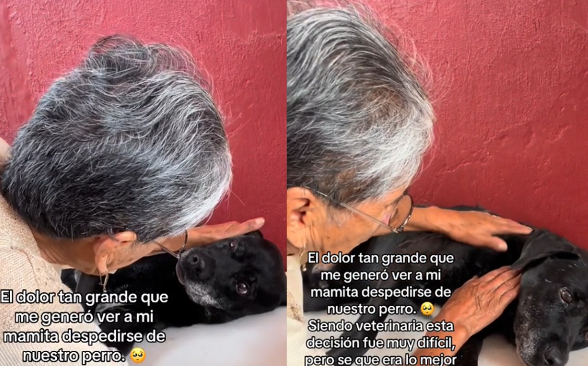 Mujer se despide de su mascota antes de que éste muera y se vuelve viral | Cortesía