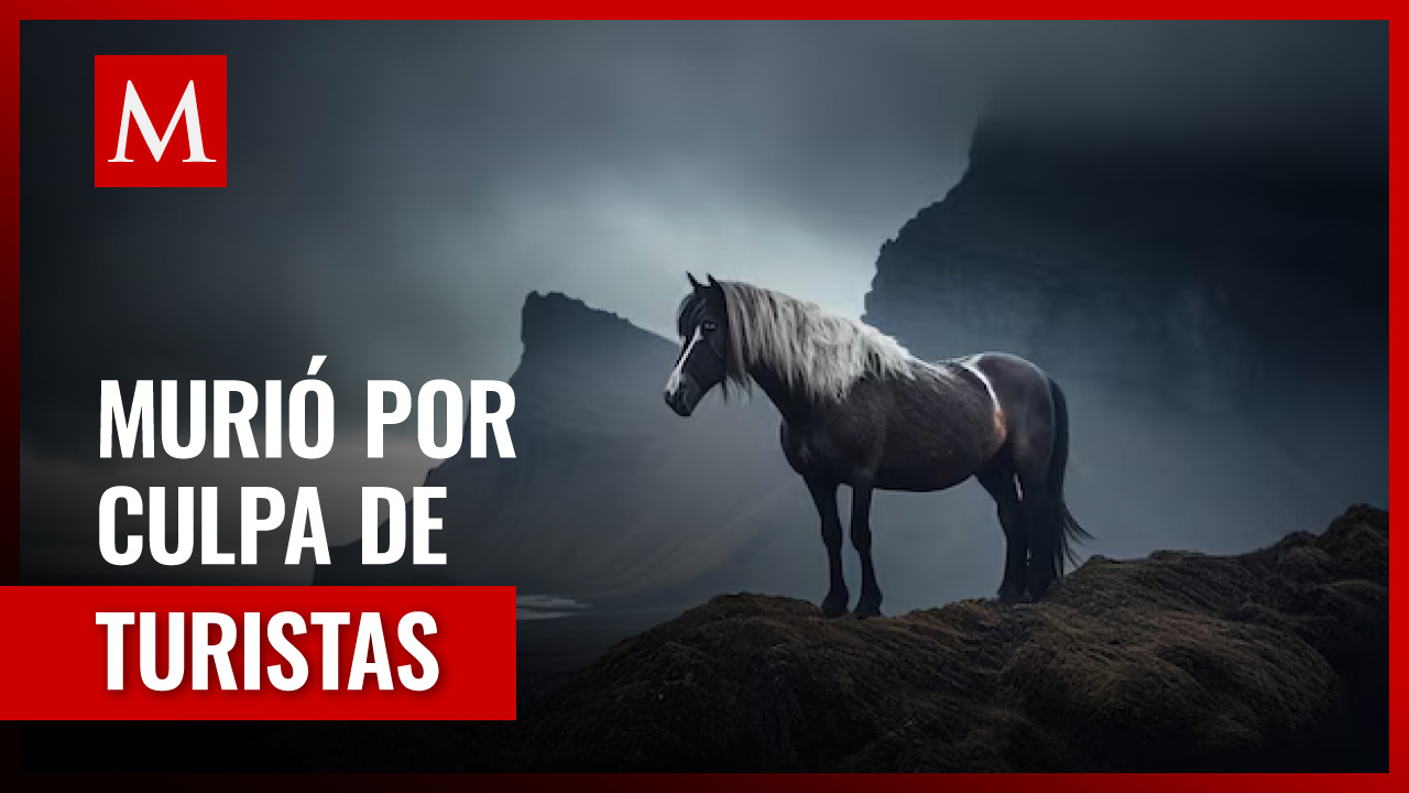Caballo muere al caer de un acantilado