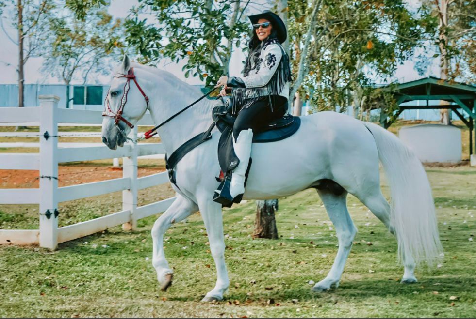 Mariel Colón busca el reconocimiento como cantante | Especial