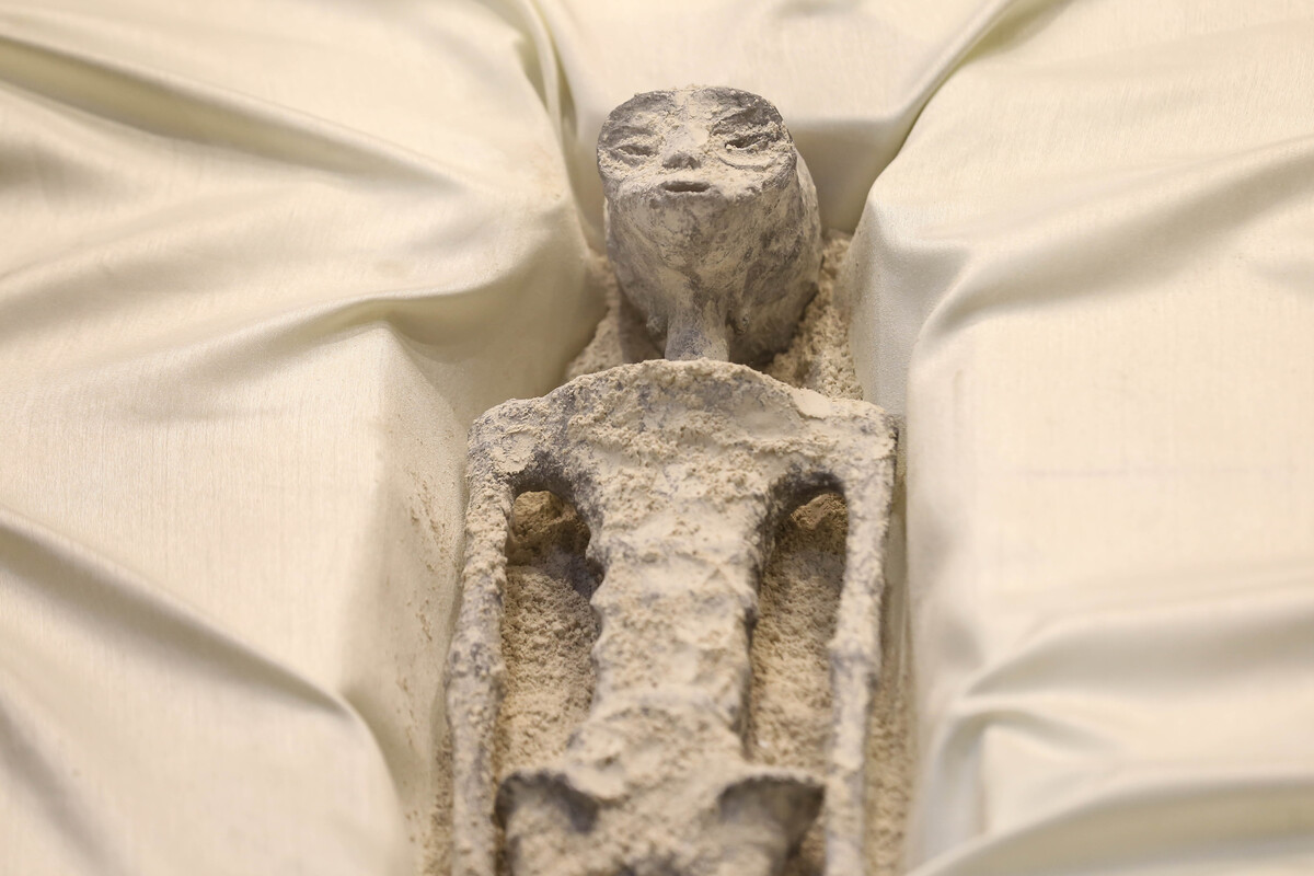 Maussan en San Lázaro muestra restos "no humanos".  |  Octavio Hoyos