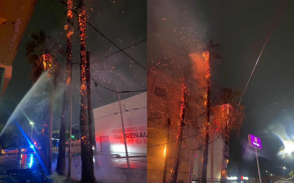 Bomberos atendieron el reporte. (Especial)