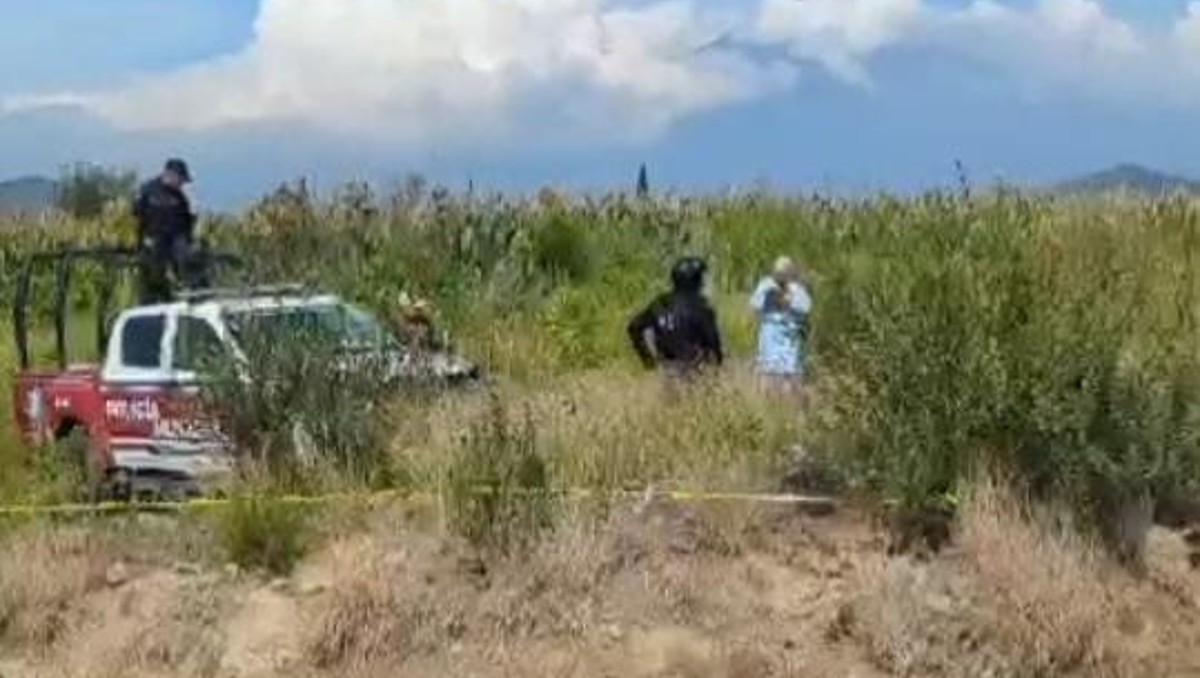 Localizan cadáver desmembrado en Santa Isabel Cholula | Especial