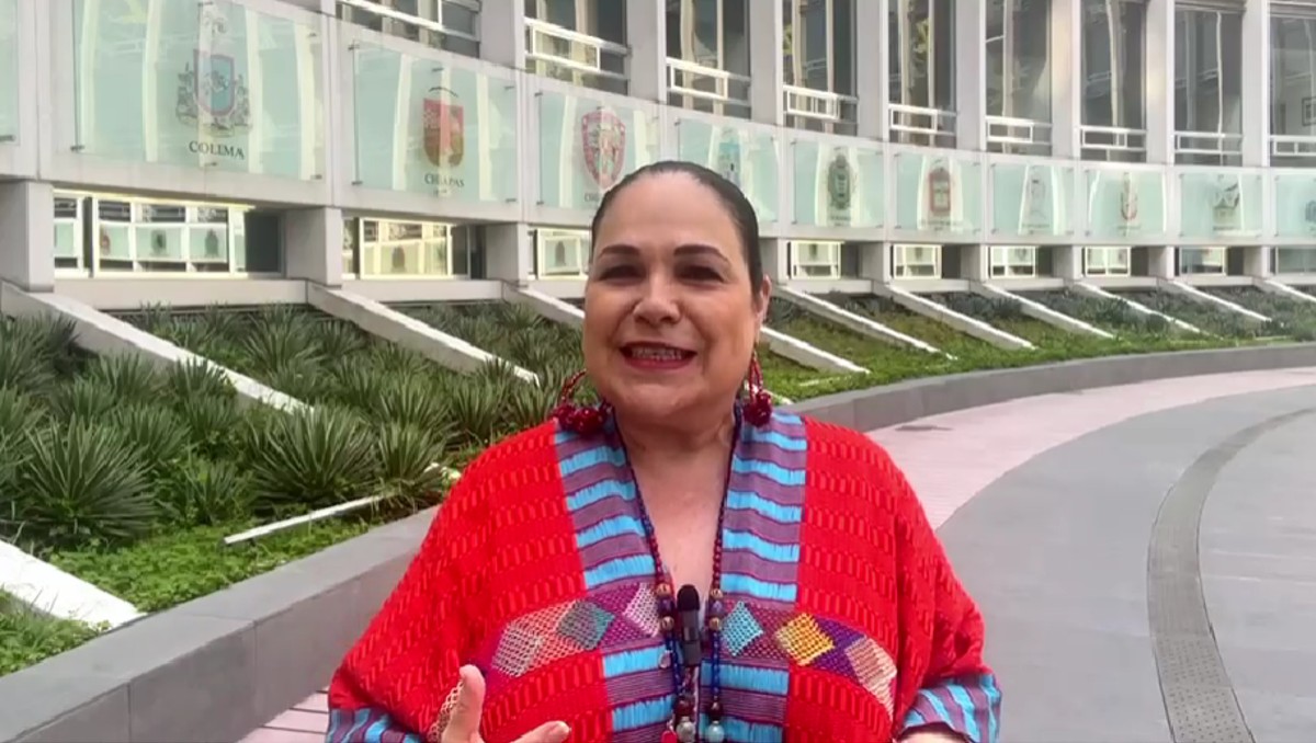 Monica Fernández, ex presidenta del Senado. (Captura)