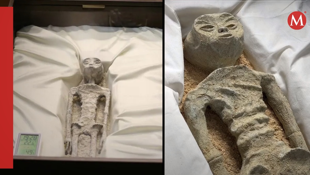 Chef crea pastel de la figura no humana que presentó Jaime Maussan esta semana | ESPECIAL