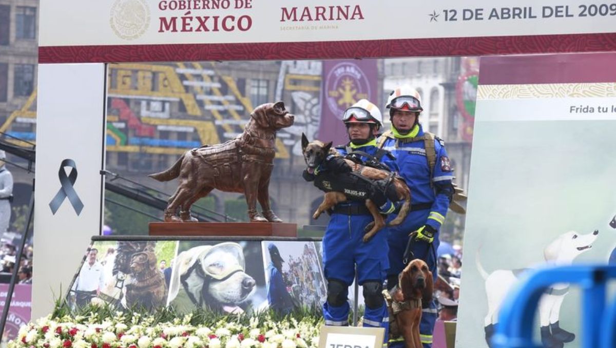 Homenaje a perrita Frida durante Desfile Militar | Juan Carlos Bautista
