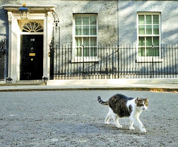 Número 10 de Downing Street, residencia del primer ministro británico. AP