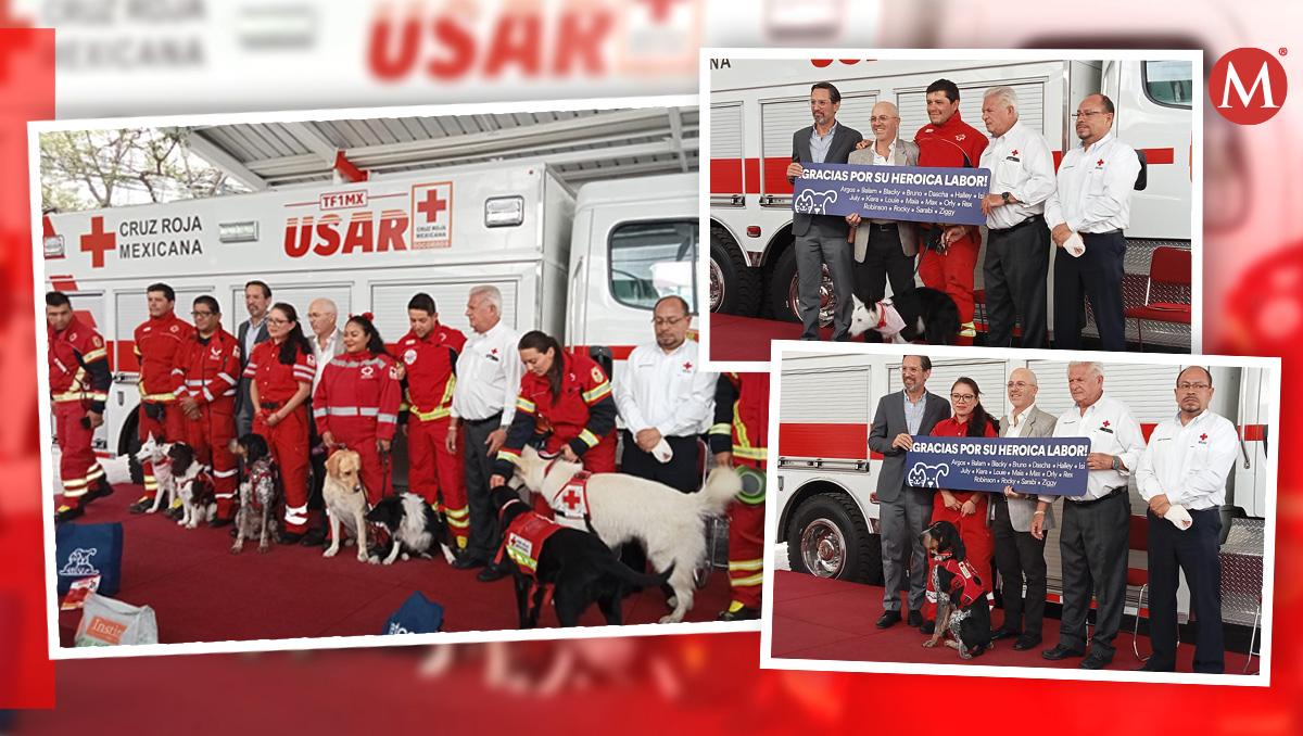 Petco y Fundación Gigante apoyan a perros rescatistas de la Cruz Roja para su preparación ante desastres naturales. | Especial