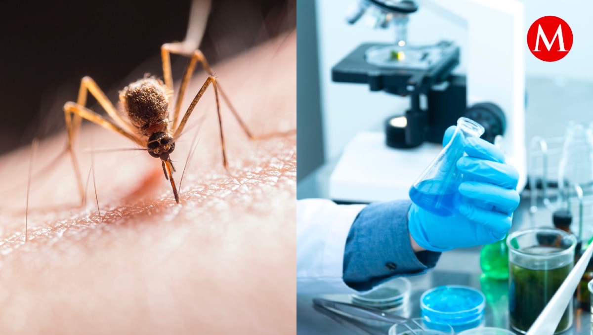 Algunas personas creen que hay laboratorios que experimentan con mosquitos para crear nuevas enfermedades.