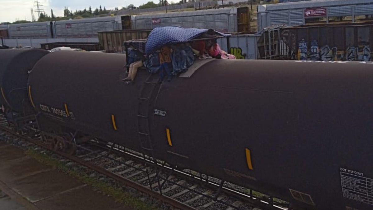 Ferromex, empresa ferroviaria de Grupo México Transportes. Foto: (Especial)
