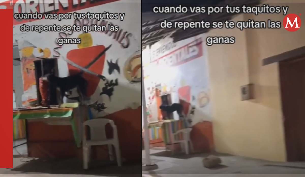 Perrito comiendo en taqueria / TikTok