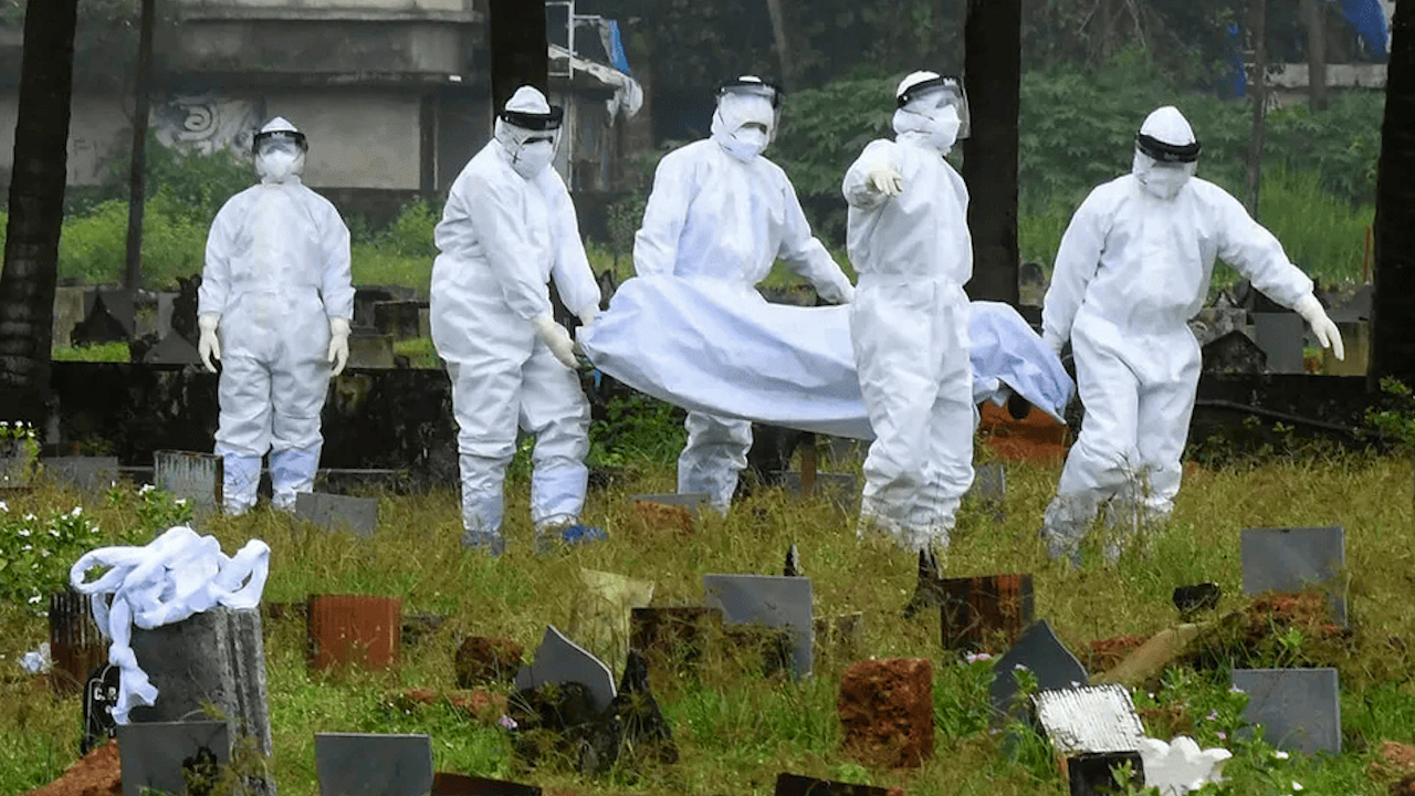 Virus Nipah reaparece en la India, ¿Qué es y cómo se transmite?