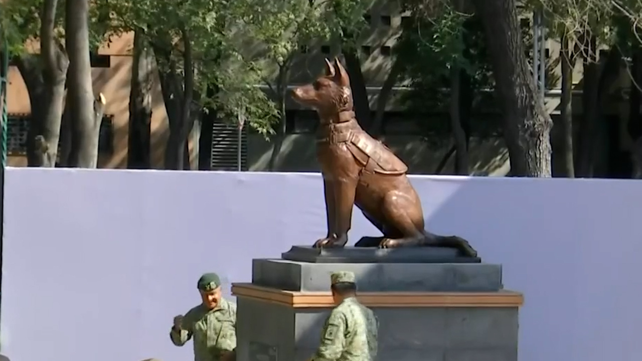 Develan monumento en honor a Proteo, perro rescatista que murió en labores en Turquía