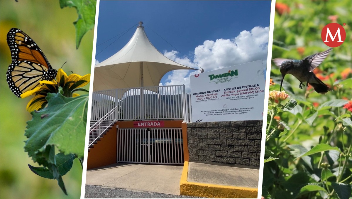 Impulsan generación de jardines polinizadores en Tamaulipas