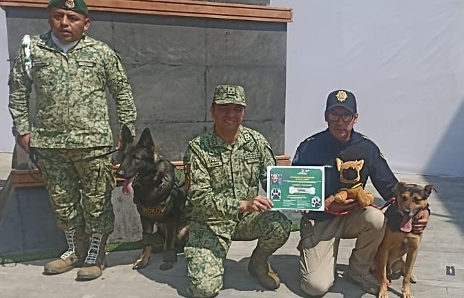 Sedena entrega nombramiento a perrito que se coló a desfile militar | @rbksokol
