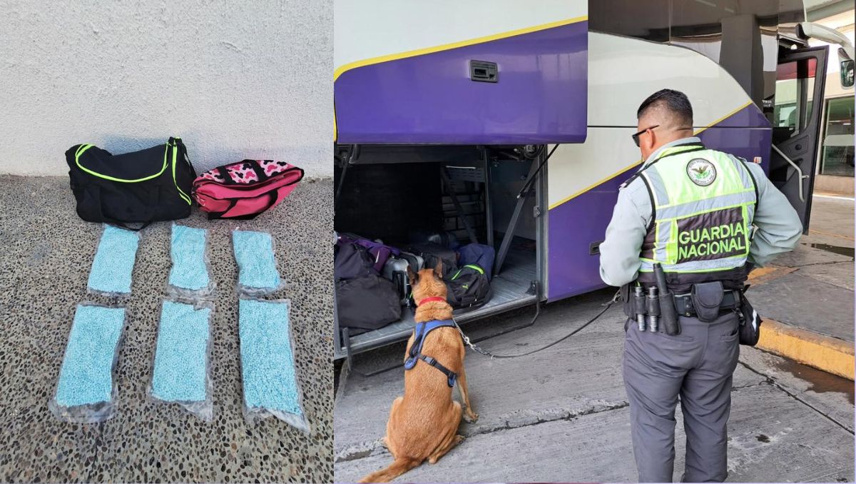 Con apoyo de binomios caninos, realizaba inspecciones aleatorias. (Especial)