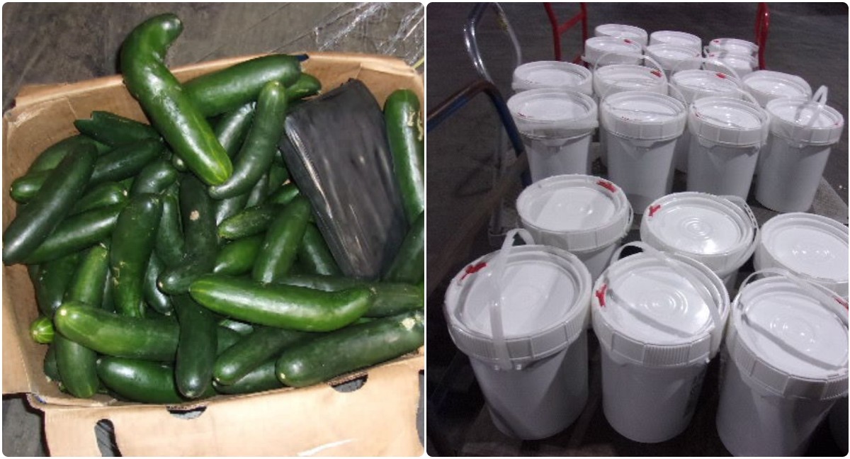 Interceptan en Garita de Exportación camión con 5 MDD en narcóticos