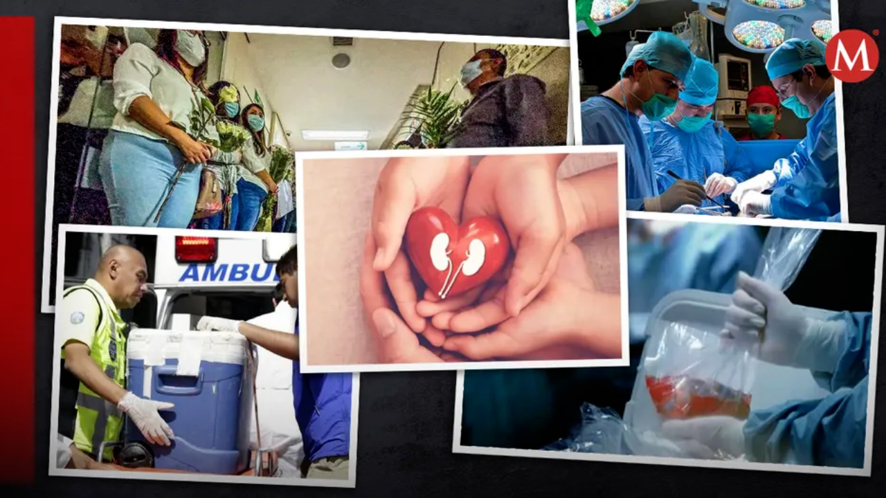26 de septiembre, día nacional de donación de órganos; ¿Cómo donar?