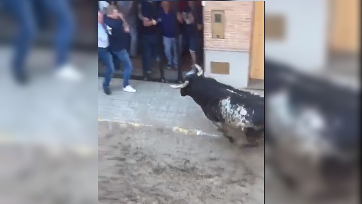 Hombre muere tras ser corneado en encierro Pobla de Farnals | Especial