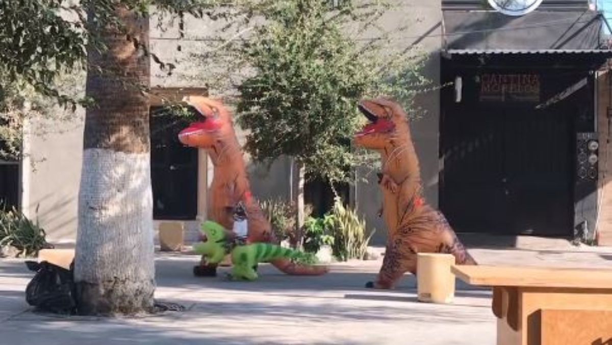 En Coahuila se han descubierto infinidad de restos fósiles y hasta nuevas especies de dinosaurios. (Instagram)